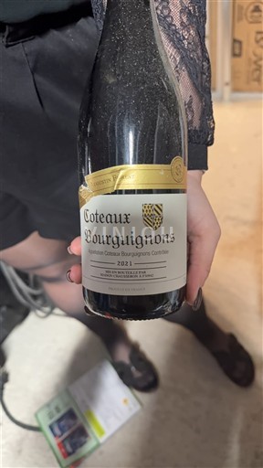 Bourgogne Bourgognebackar Maison Chausseron 2021