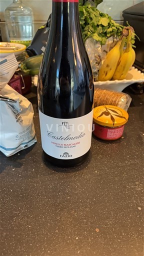 Wines of Sicily Unspecified Fazio Castelmedio 2021