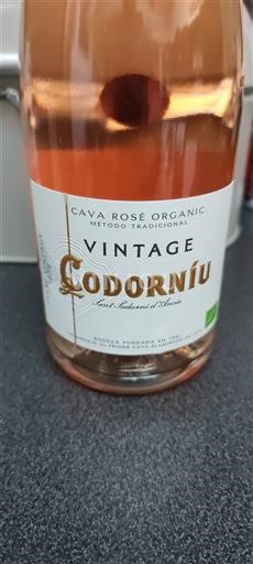 Katalonija Cava Codorníu Vintage Neleten.