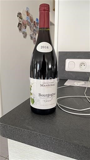 Burgundy Domaine Catherine et Claude Maréchal Granit 2016