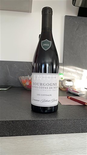Bourgogne Ikke specificeret Vignerons Robert Bizot Les Coteaux 2022