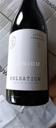 Dolina Loare Saumur-champigny Les éclaireurs Pulsation 2024