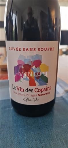 Beaujolais Ikke specificeret Gilles Gelin Le Vin des Copains 2025