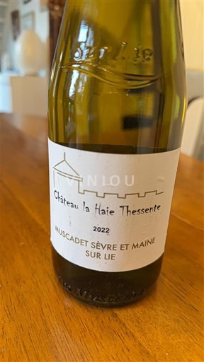 Vini Blanc sec Château La Haie Thessente 2022 Francia Valle della Loira Muscadet Sèvre et Maine AOC
