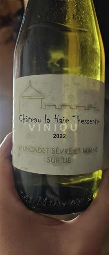 Loire Valley Muscadet Sèvre et Maine Château La Haie Thessente 2022