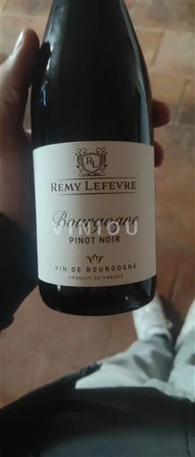 Burgundy Remy Lefevre 2024