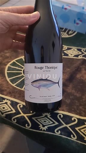 Brittany Pinot bar Rouge Thonique 2024