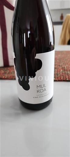 Sud-Ovest Irouléguy Mulkoya 2023