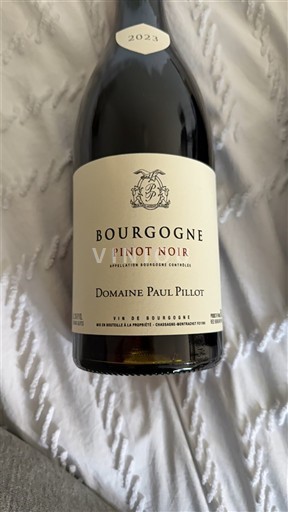Borgoña Domaine Paul Pillot 2023