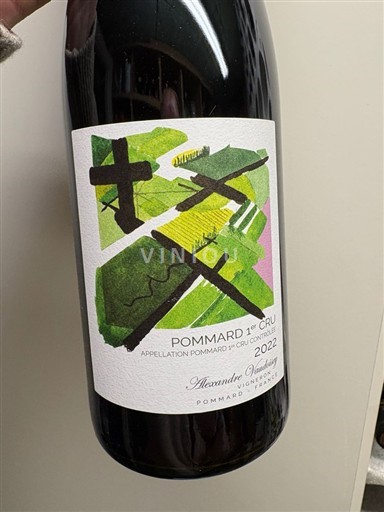 Borgoña Pommard Premier Cru Domaine Vaudoisey-Creusefond Croix Noire 2022