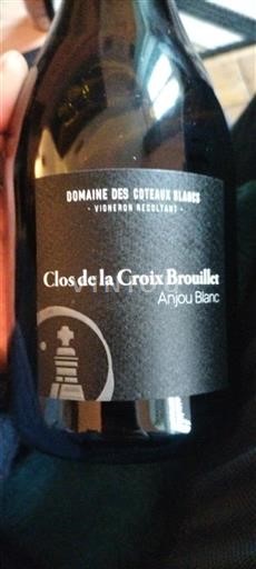 Alsace Pinot blanc Domaine S Coteaux Blancs Clos de la Croix Brouillet 2024