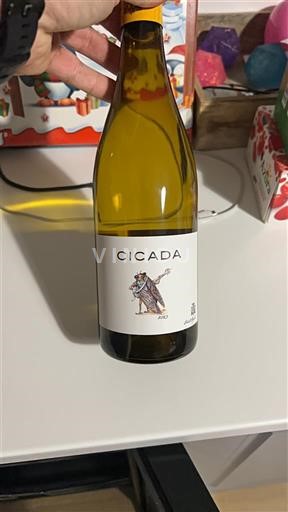 Valle del Rodano Côtes-du-Rhône Cicada by Boutinot Cicada 2023