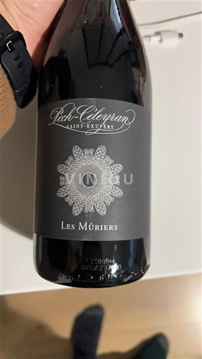 Languedoc Saint-Chinian Pierre Célégran Les Mûriers 2023