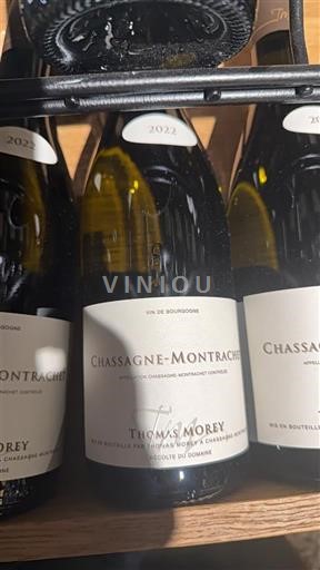 Burgundsko Chassagne-montrachet Thomas Morey 2022