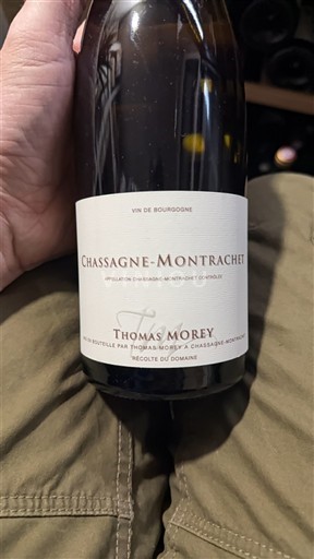 Bourgogne Chassagne-montrachet Thomas Morey 2022