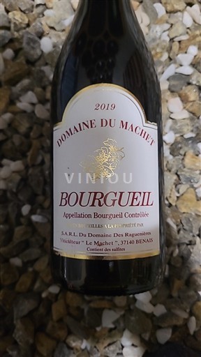 Loiren laakso Bourgueil Domaine Machet 2019