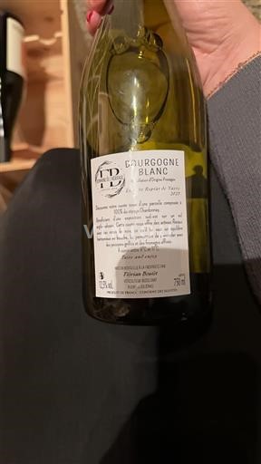 Bourgogne Ikke specificeret Domaine L'héritage 2023