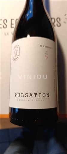 Dolina Loare Chinon Les éclaireurs Pulsation 2023