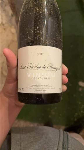 Loire-dalen Saint-Nicolas-De-Bourgueil Les Montils 2017