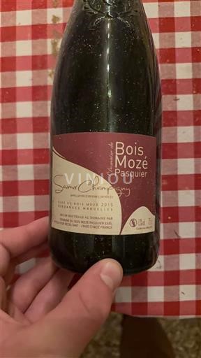 Loiren laakso Saumur-champigny Domaine Bois Mozé 2015
