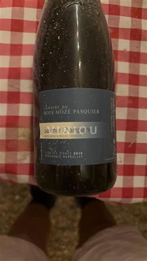 Vina Rouge sec Domaine Bois Mozé Pasquier 2018 Francija Dolina Loare Saumur-champigny AOC