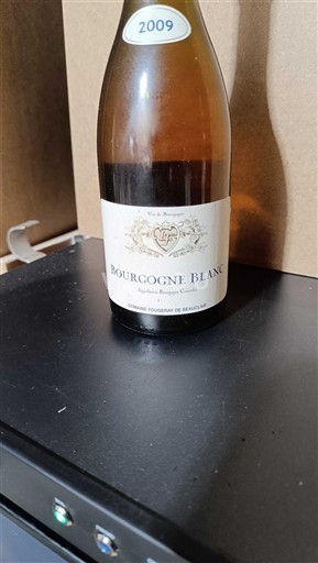 Bourgogne Ikke specificeret Domaine Toubin et Beauvais 2009