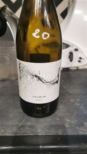 Údolí Loiry Saumur Brendan starter west 2024