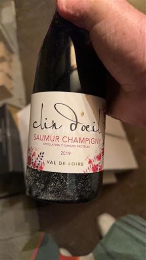 Vin Rouge sec Caves Robert et Marcel 2019 France Vallée de la Loire Saumur-champigny AOC