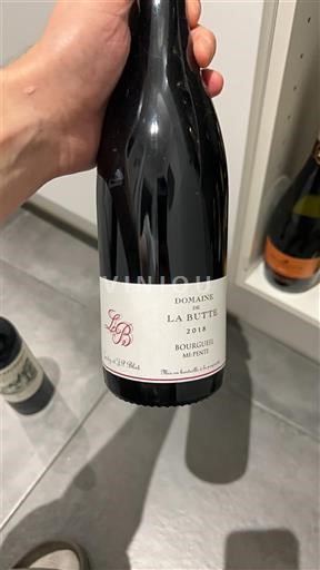 Vallée de la Loire Bourgueil Domaine La Butte Le Pied 2018