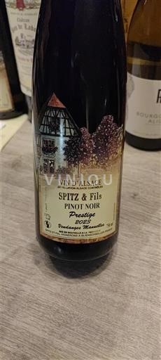 Alsacia Spitz & Fils Prestige 2023