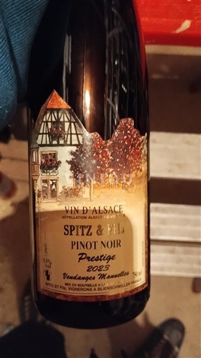 Alsacia Spitz & Fils Prestige 2023