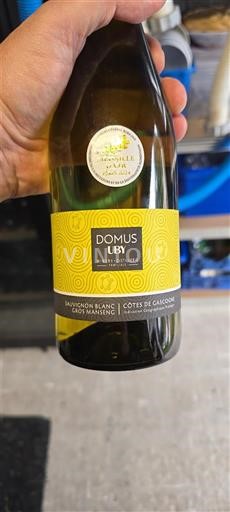 Jugozahod Côtes de Gascogne Domaine Uby Domus Uby 2023