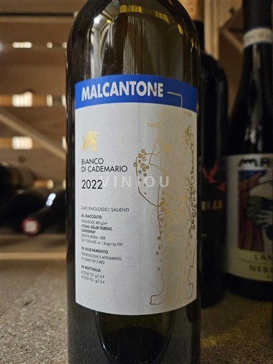 Ticino Unspecified Malcantone Bianco di Cademario 2022