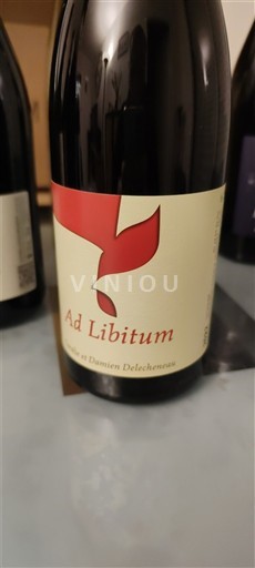 Dolina Loare Touraine Domaine Damien Delecheneau Ad Libitum 2022