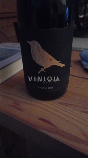 Navarra Viña Zorzal Crianza 2021