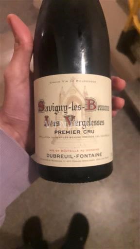 Burgundsko Savigny-lès-Beaune Premier Cru Dubreuil-Fontaine Les Vergelesses 2018