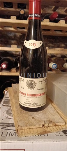Bourgogne Coteaux bourguignons Dominique Laurent 2013