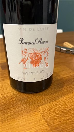 Dolina Loare Pineau d'Aunis Neleten.