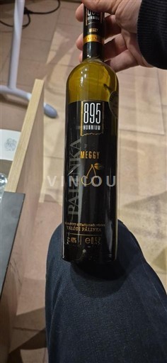 Eger Không được chỉ định 895 Winery Meggy 2010