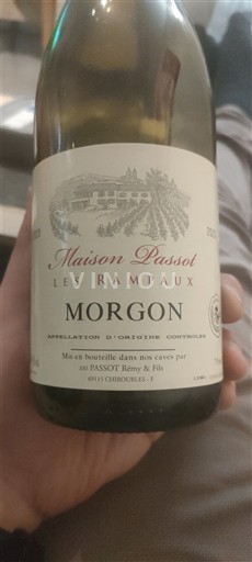 Beaujolais Morgon Maison Passot Les Rampaux Non-Vintage