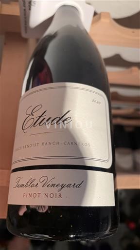 Kalifornské AVA Los Carneros Étude temblor vineyard 2020