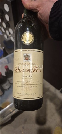 Catalonien Penedès Duc de Foix Cabernet Sauvignon 1998