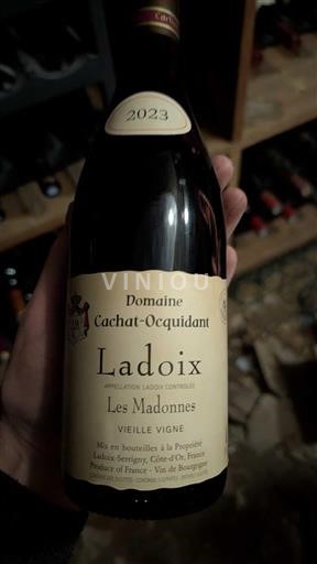 Bourgogne Ladoix Domaine Cachat-Ocquidant Les Madonnes Vieille Vigne 2023