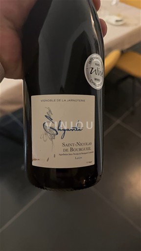 Loire Valley Saint-Nicolas-De-Bourgueil Vignoble de la Jarnoterie Signature 2019