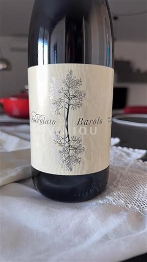 Piemonte Barolo Bricco di Sole Briccolato 2021