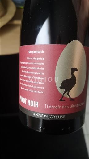 Languedoc und Roussillon Hoch Tal der Aude Anne de Joyeuse Gargantuavis Terroir des Dinosaures Ohne Jahrgang
