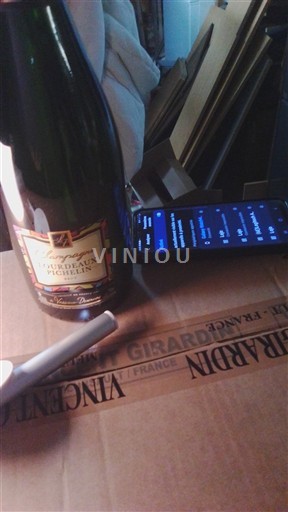 Champagne Egly-Ouriet Les Vignes de Vrigny Niet-geïntegreerd