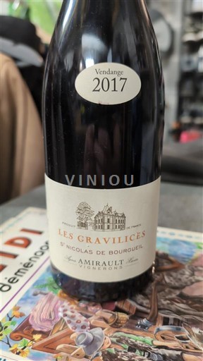 Valle della Loira Saint-Nicolas-De-Bourgueil Amirault Les Gravlières 2017