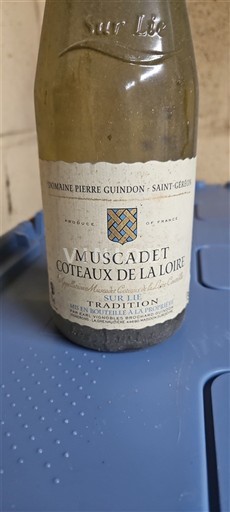 Vallée de la Loire Muscadet-coteaux-de-la-loire Domaine Pierre Guindon Sur Lie Tradition 2008