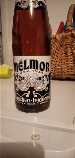 Bretonija Bretanja Mélmor Neleten.